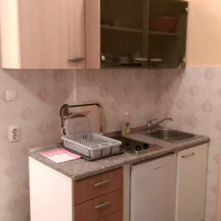 Apartment Studio Apartman Nena *